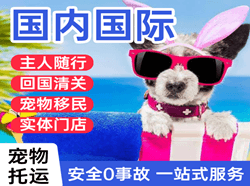 广州白云空运国际宠物托运 【国
